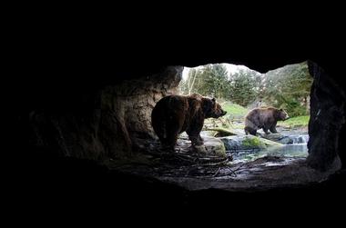 The Woodland Park Zoo History