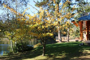 Dining at Lakedale Resort