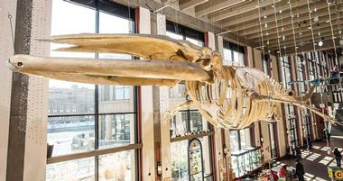 Grand Rapids Public Museum