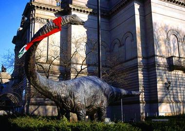 Dinosaurs in Their Time