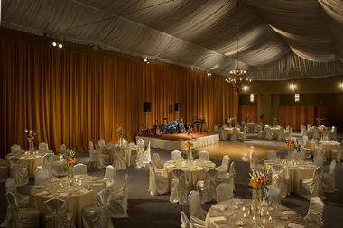 Wedding and Conferences