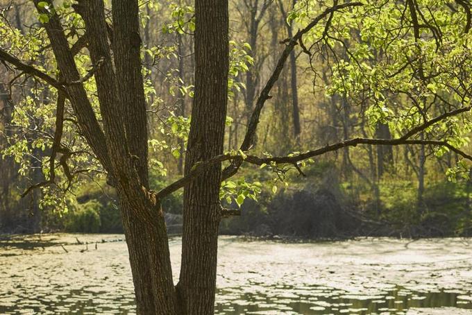 Patapsco Valley State Park