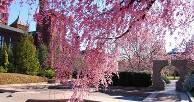 Smithsonian Gardens