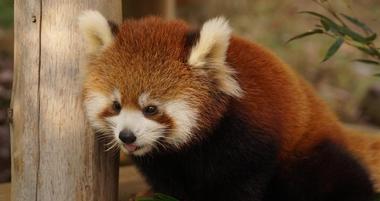 Smithsonian National Zoological Park