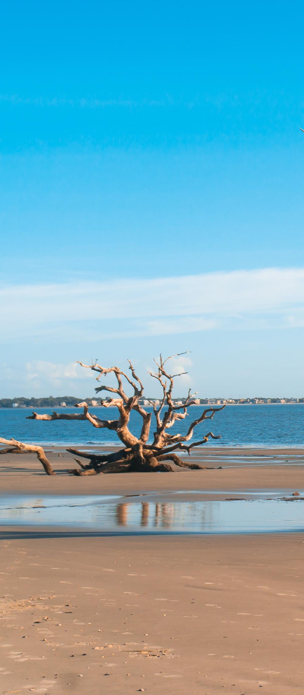 I like to bike on shaded trails and spot sea turtles.