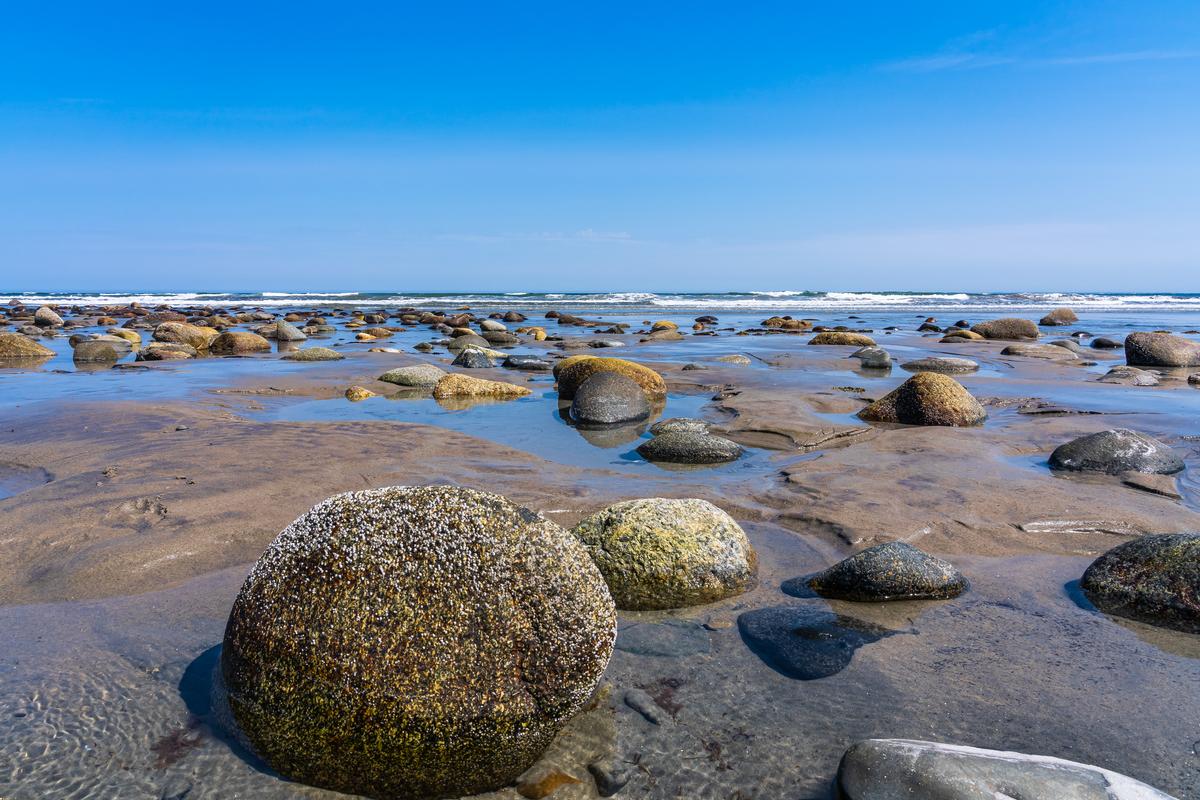 Shell covered boulders, Hampton Beach NH