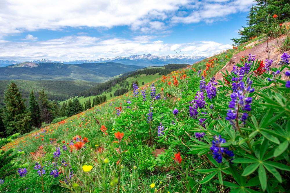 Go hiking and explore mountain sights on an exciting weekend getaway.