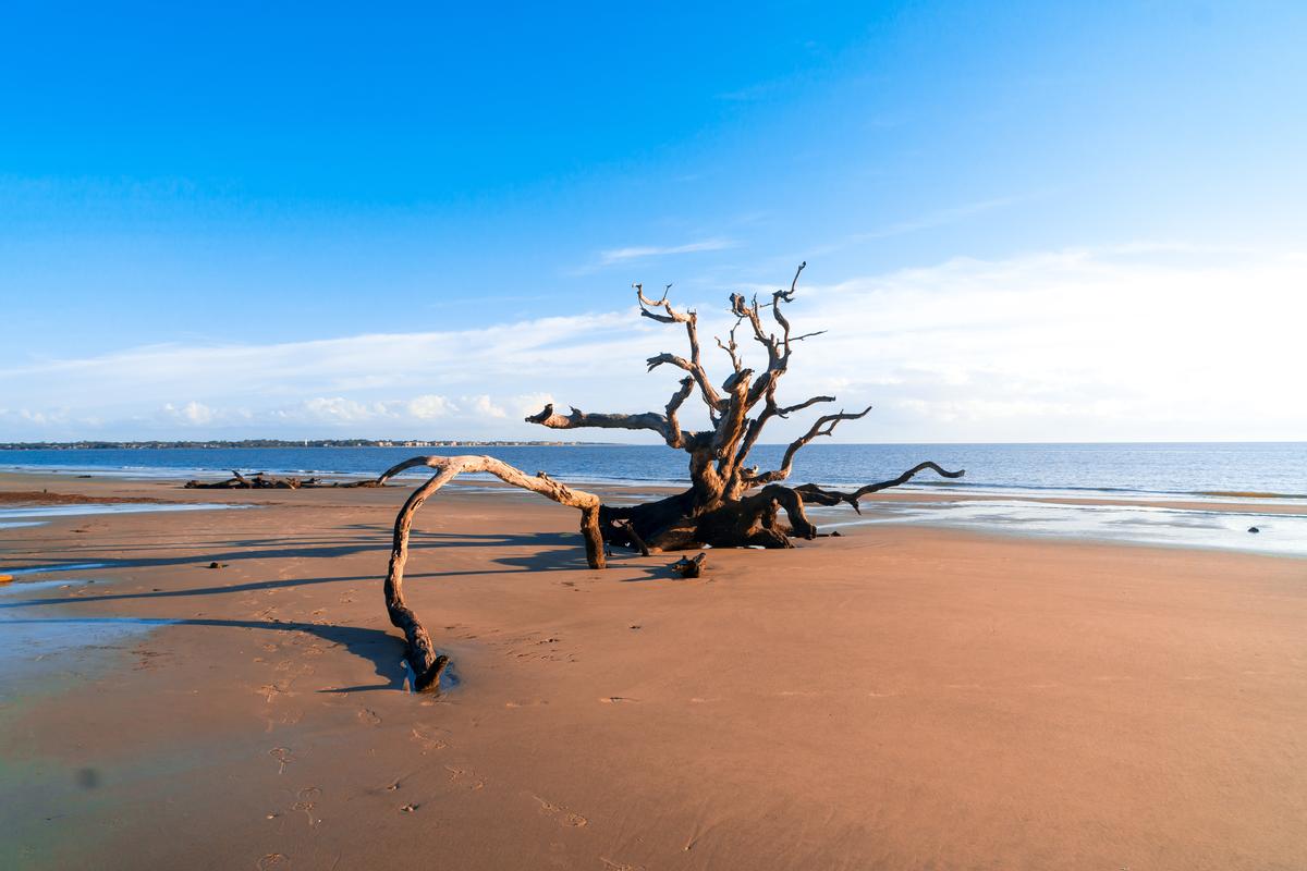 Beach in golden light