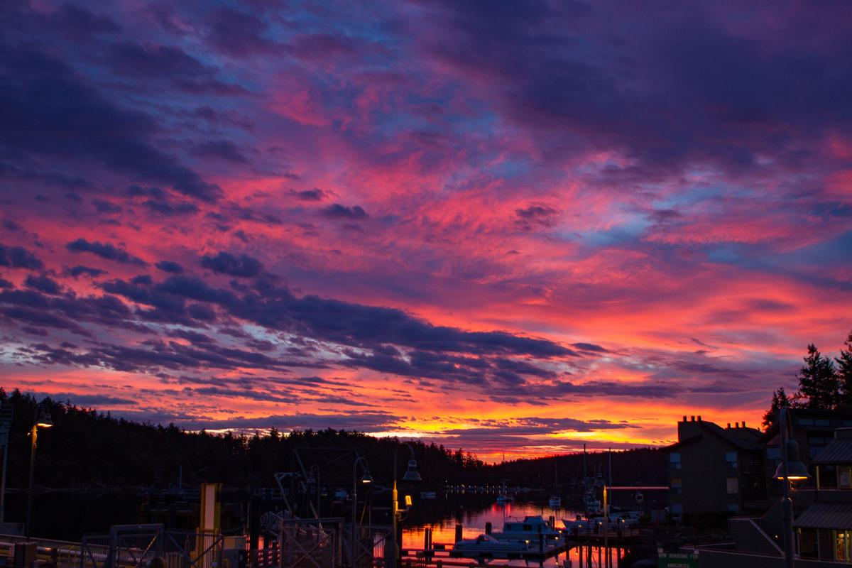 Friday Harbor sunset