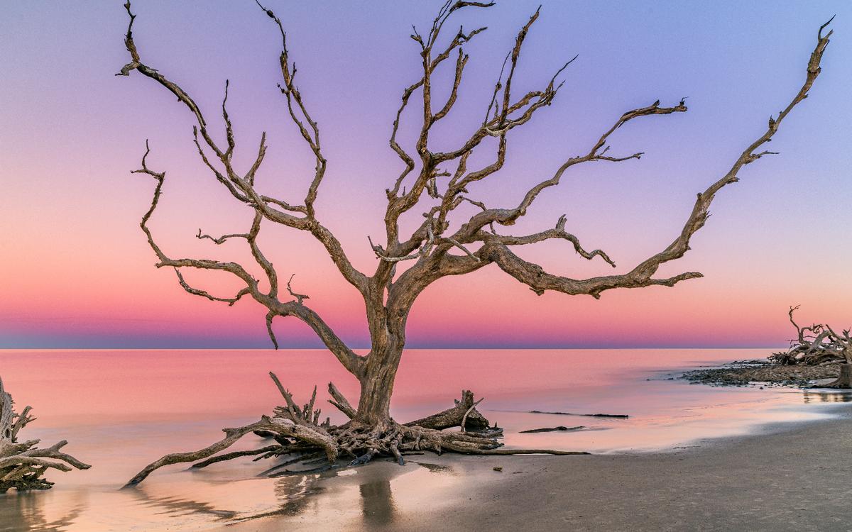 Look at twisted trees or snap photos on a quick and scenic outing.