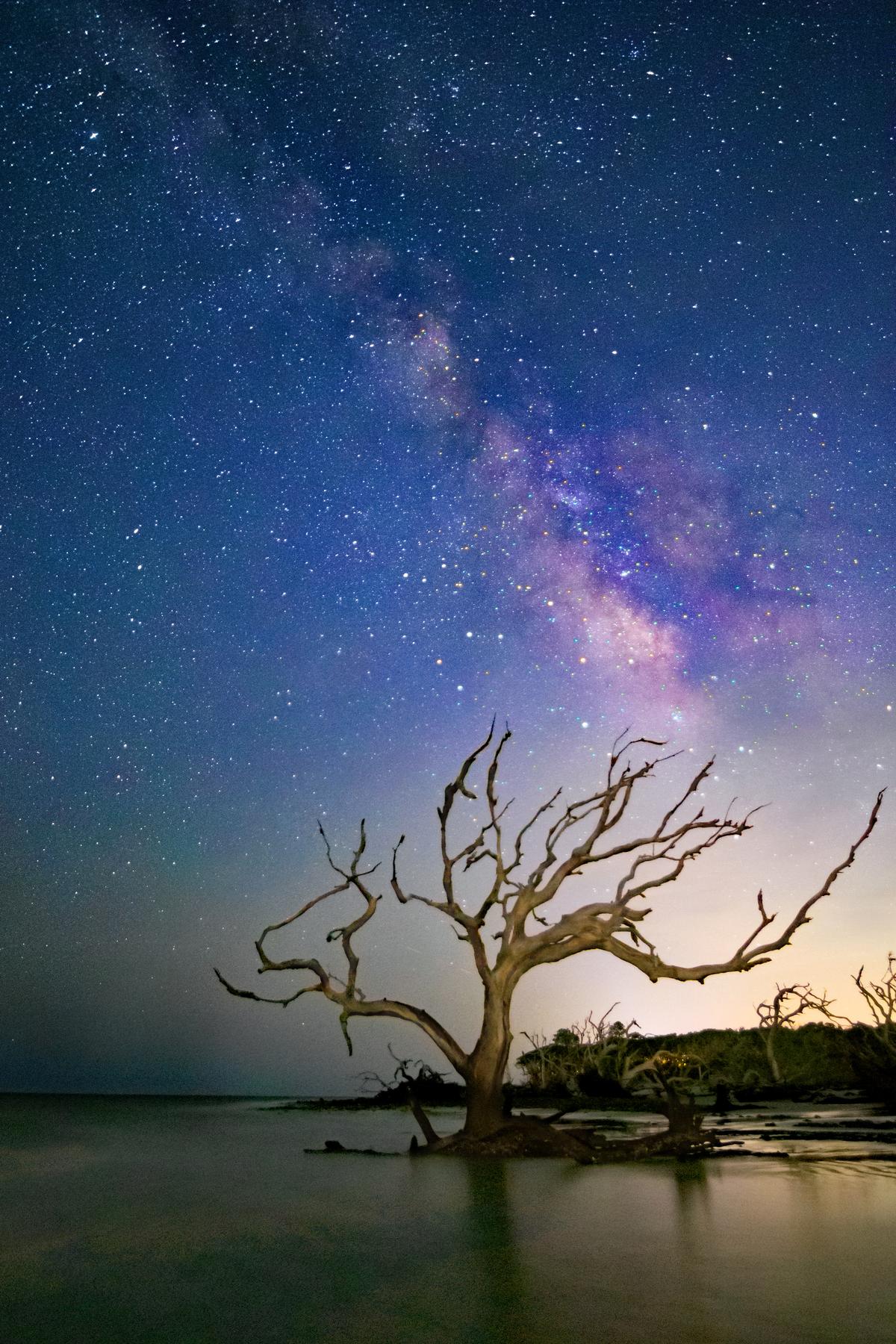 The Milky Way over Driftwood Beach