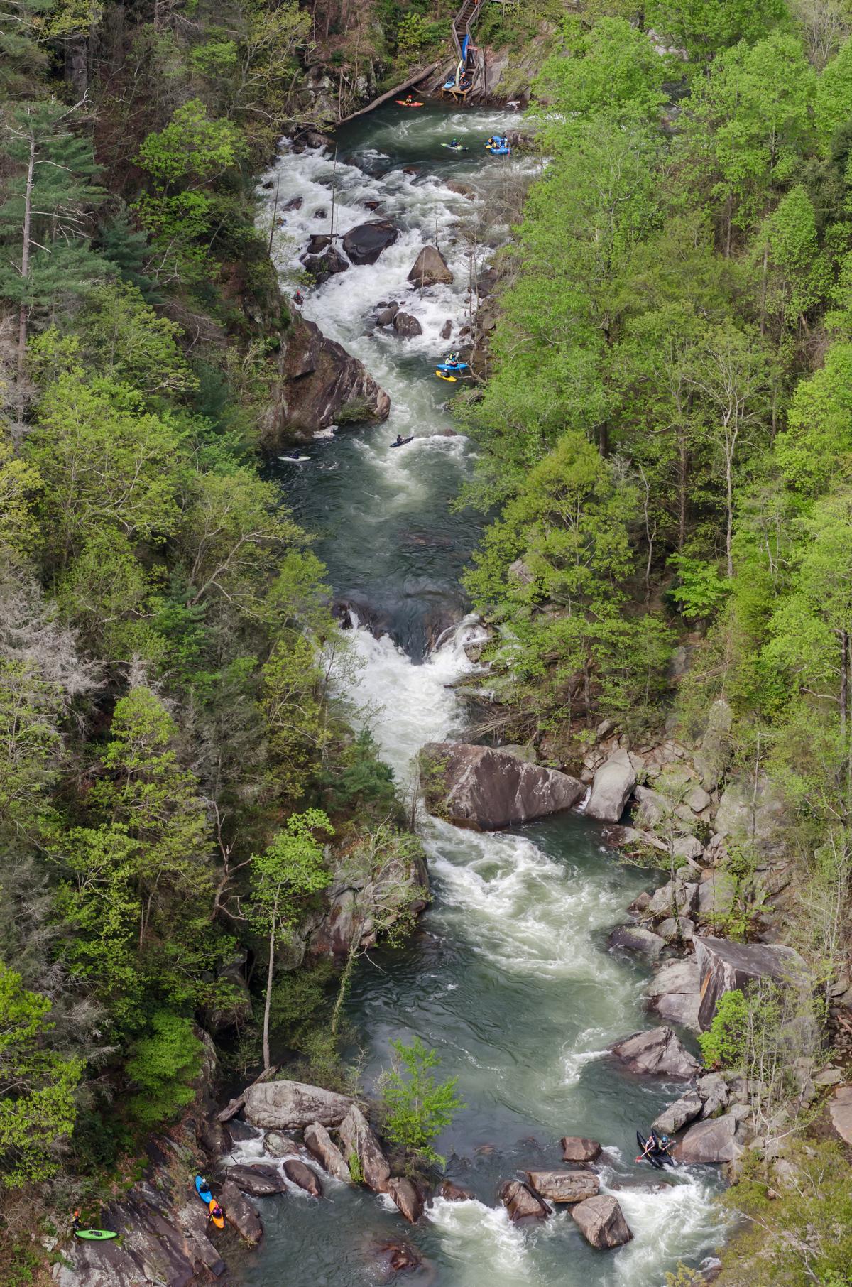 Kayakers in Toccoa River
