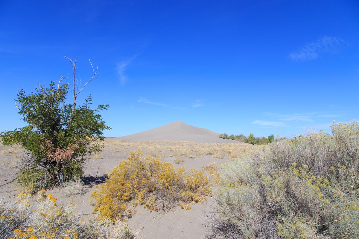 Bruneau Dunes State Park