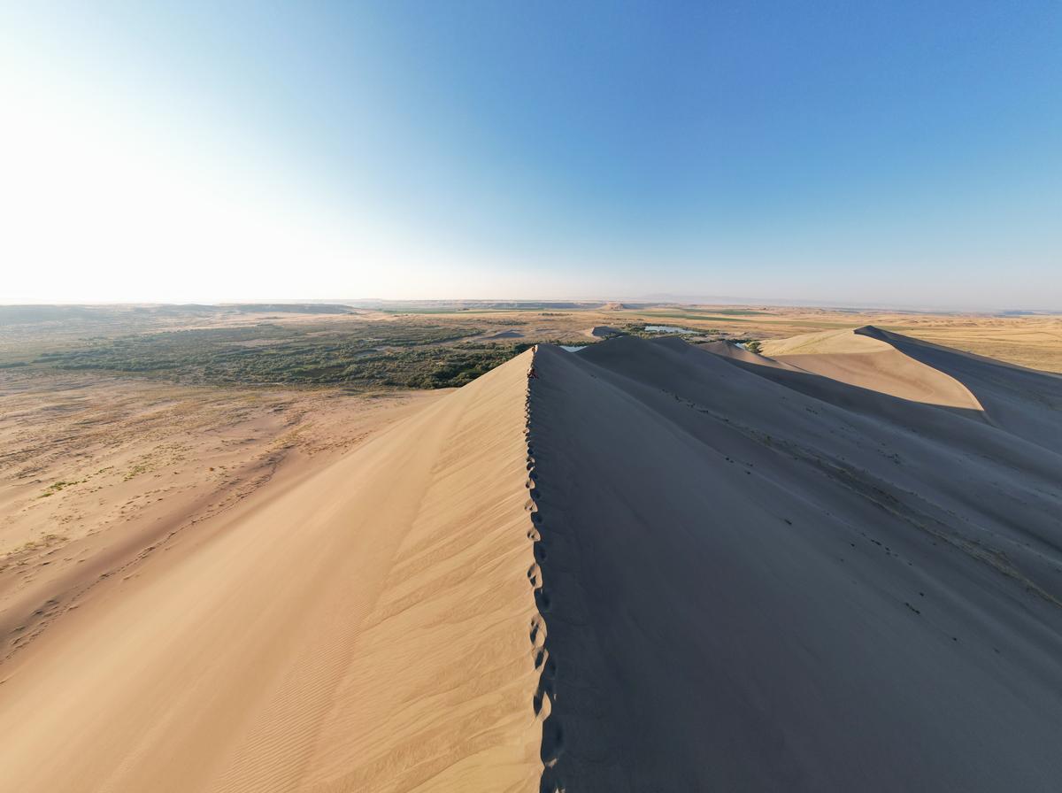 Bruneau Dunes State Park closeup