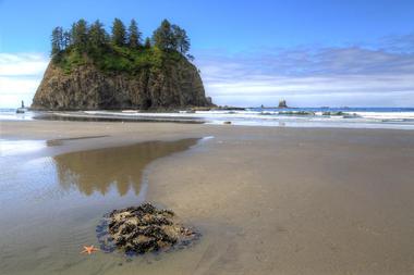 Get to know Olympic National Park