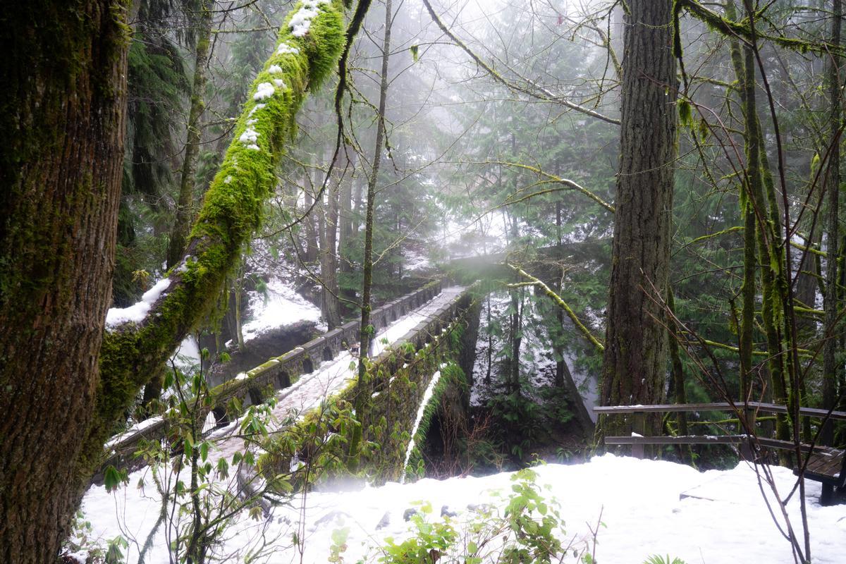 Snowy bridge in Bellingham, WA