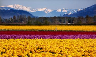 Explore the charming towns on Skagit Valley