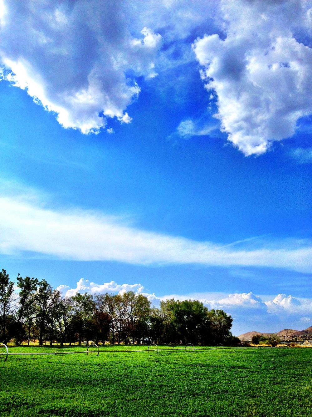 Visit local museums and hike nearby trails on an affordable adventure.