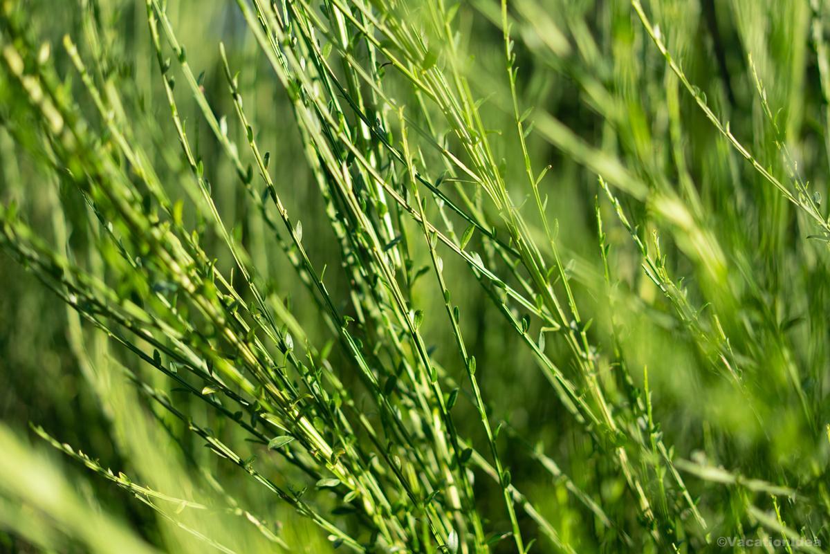 My photo along the path in Bellingham