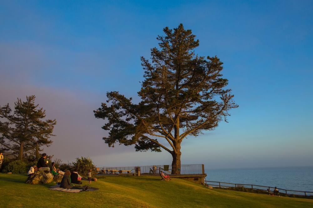 Reconnect with Nature and Self at Esalen Institute in Big Sur
