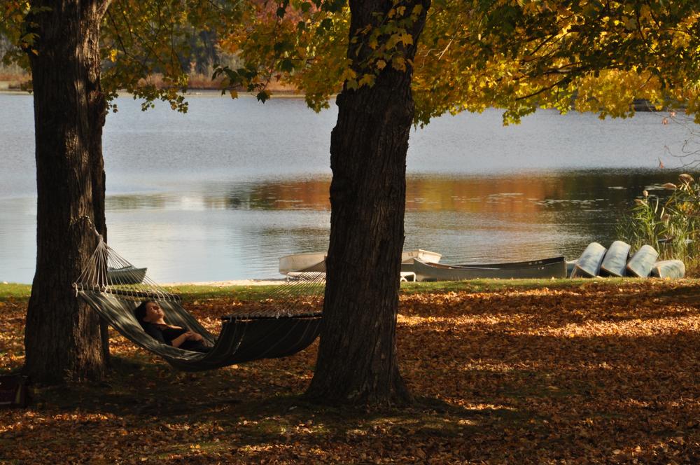 Explore Mind-Body Healing at The Omega Institute in Rhinebeck