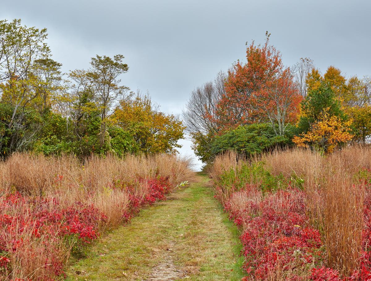 Hike Along the Mountains-to-Sea Trail