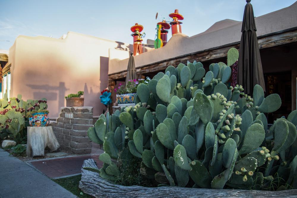 Where to Stay in Albuquerque