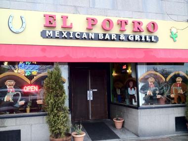 El Potro Mexican Bar and Grill | Things to Do in Lowell, Massachusetts