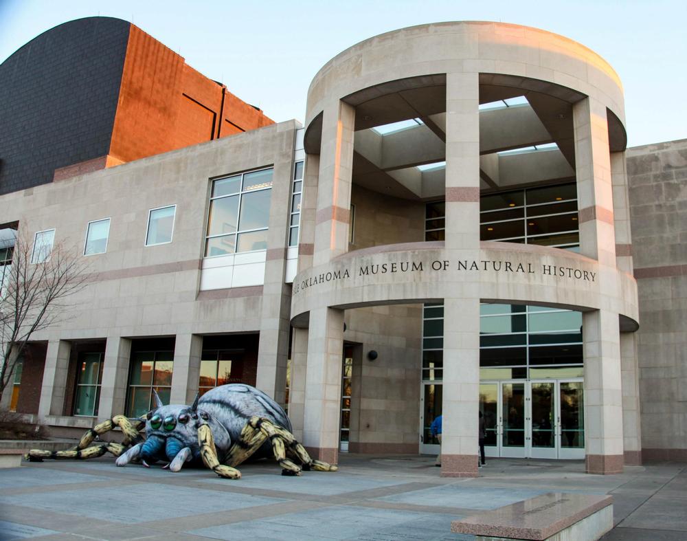 Explore Ancient Fossils and Native History at Sam Noble Oklahoma Museum of Natural History