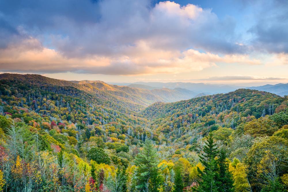 Explore Nature’s Playground in Great Smoky Mountains National Park