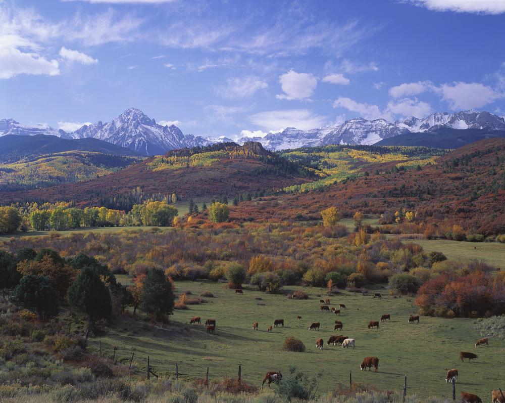 Hike, Camp, and Get Lost in the Wilderness of San Juan National Forest