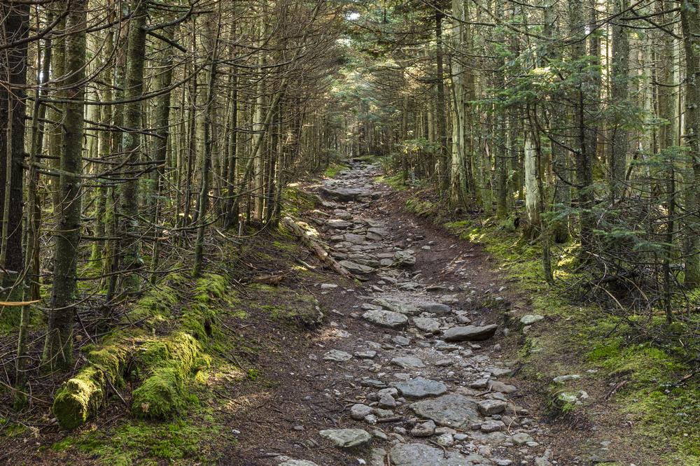 Trek to the Summit of Slide Mountain for Panoramic Views