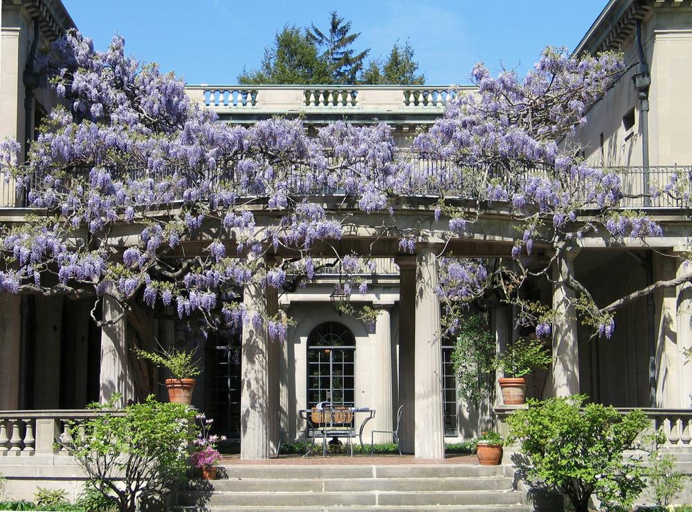 Wander Through Blooming Beauty at Van Vleck House & Gardens
