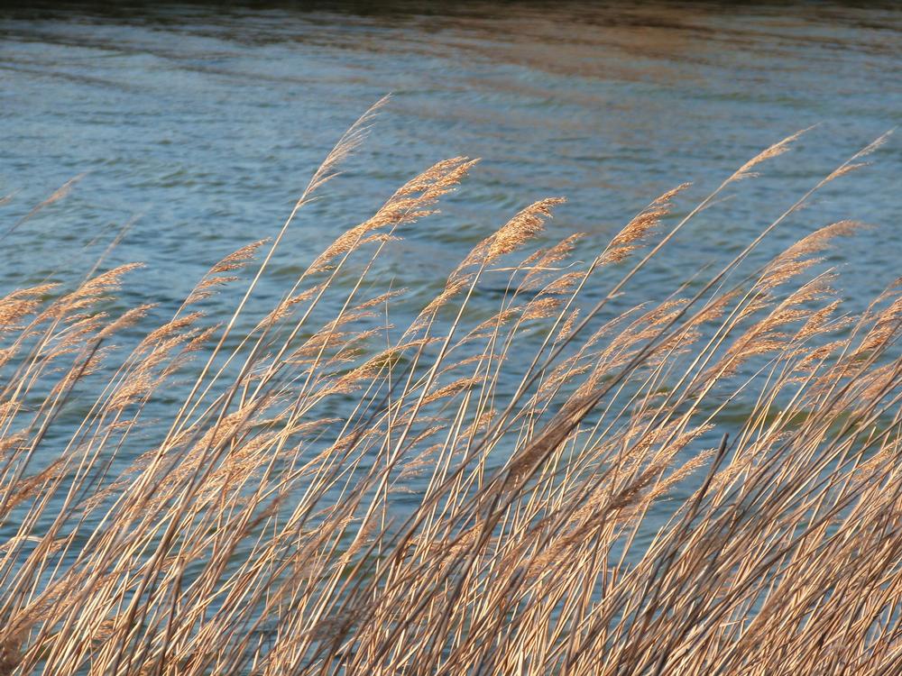 Bike or Birdwatch With Coastal Views at Gordons Pond