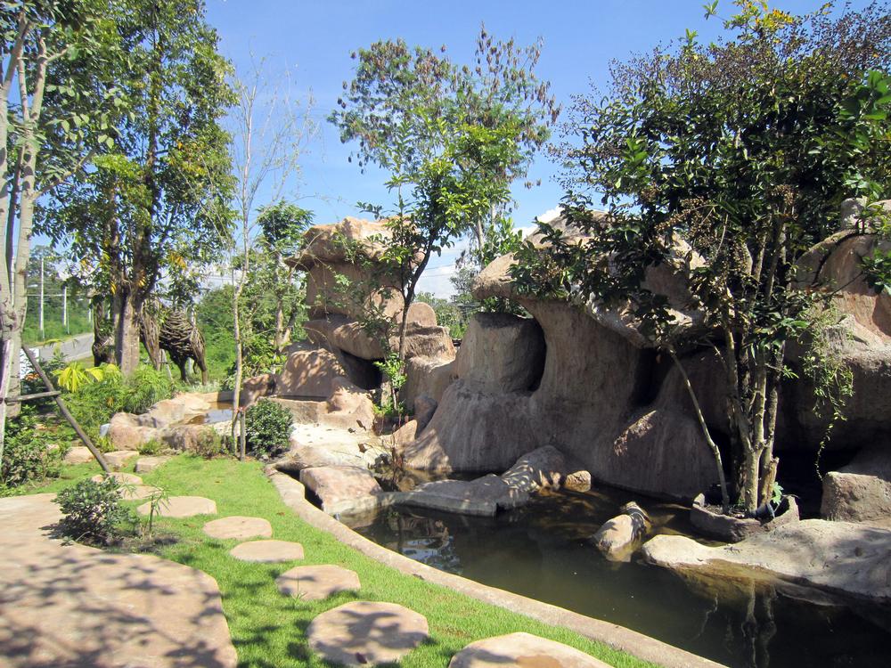 Stroll Through Native Flora at the Belize Botanic Gardens