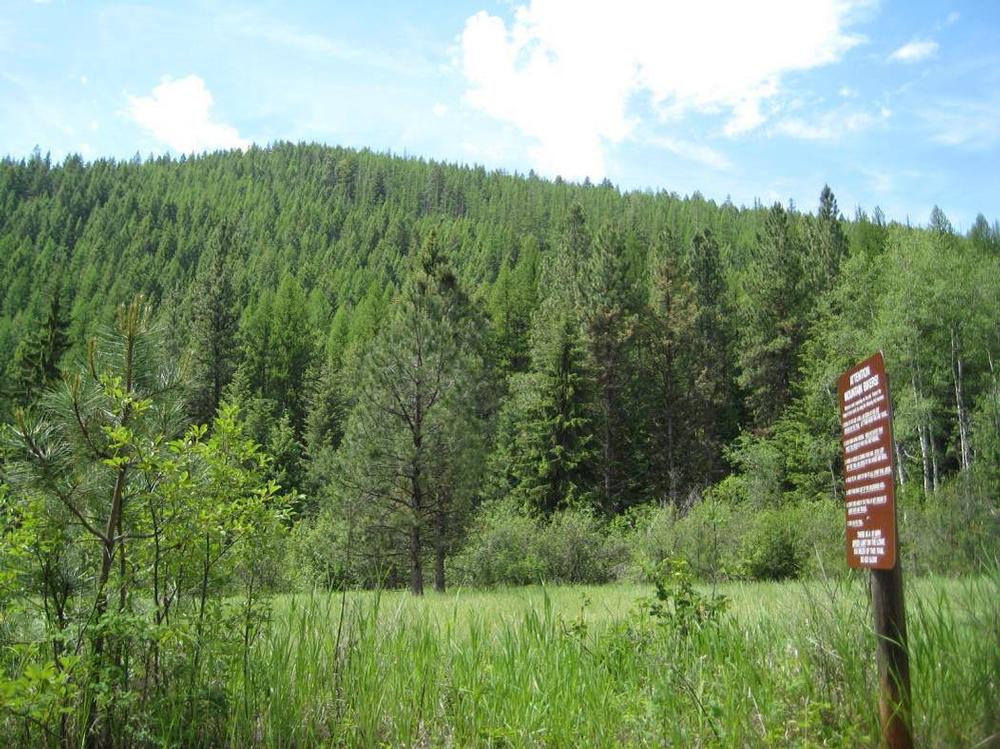 Hike, Bike, and Connect With Nature at Rattlesnake Recreation Area