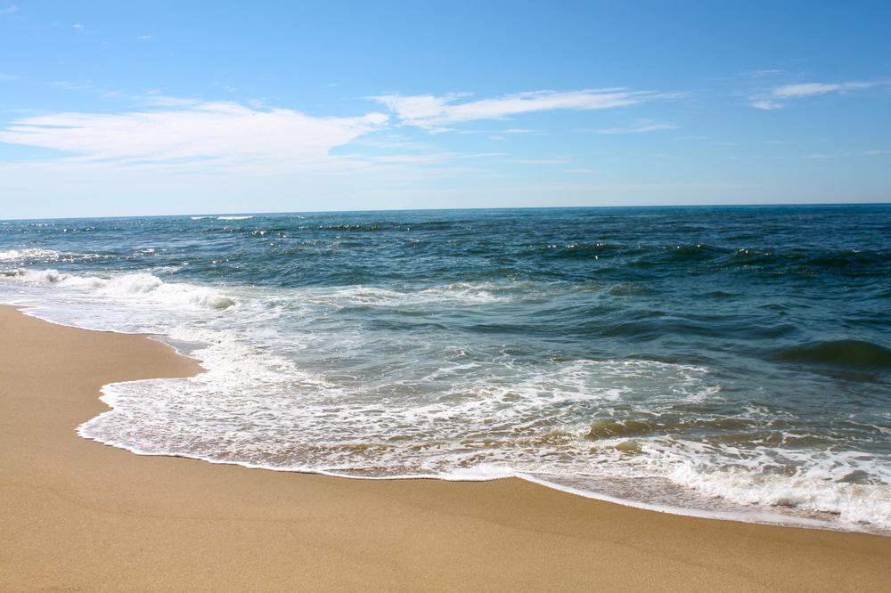 If You Love Scenic Hikes, Explore Menemsha Hills
