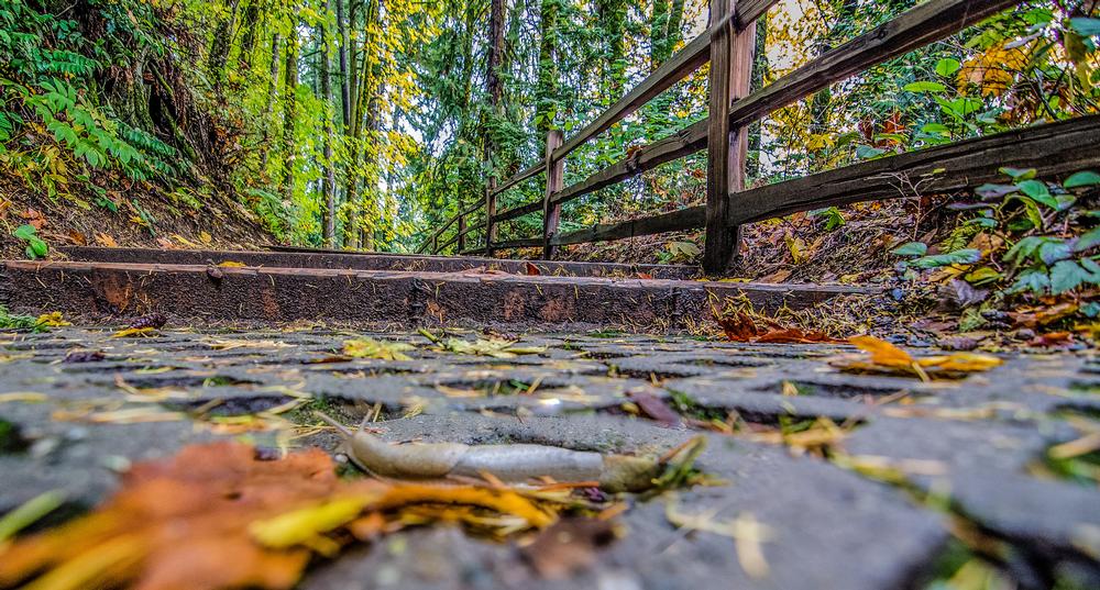 Pedal or Hike the Scenic Junction and Breakwater Trail