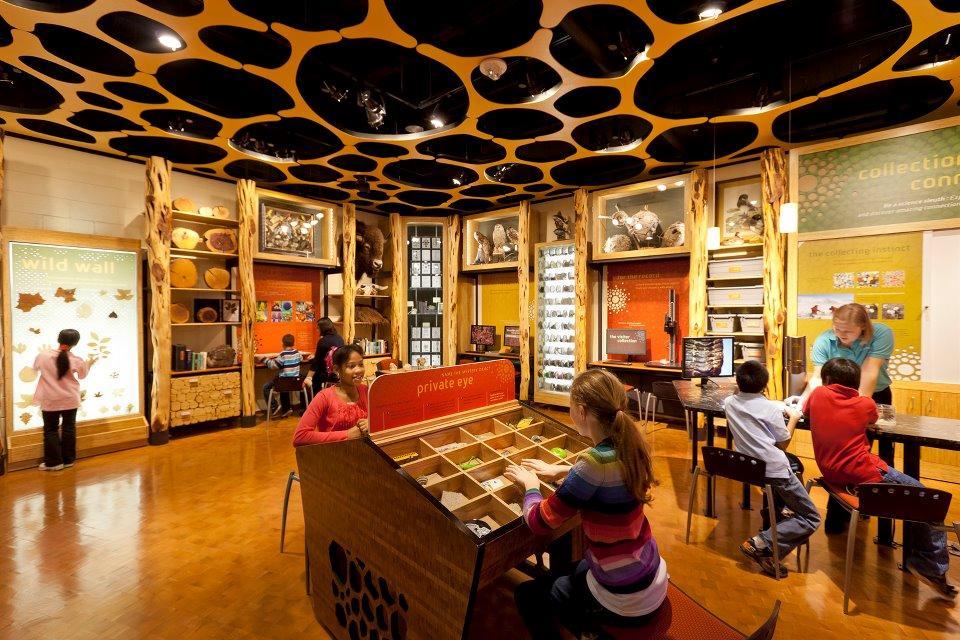 Participate in Hands-On Science at Discovery Place