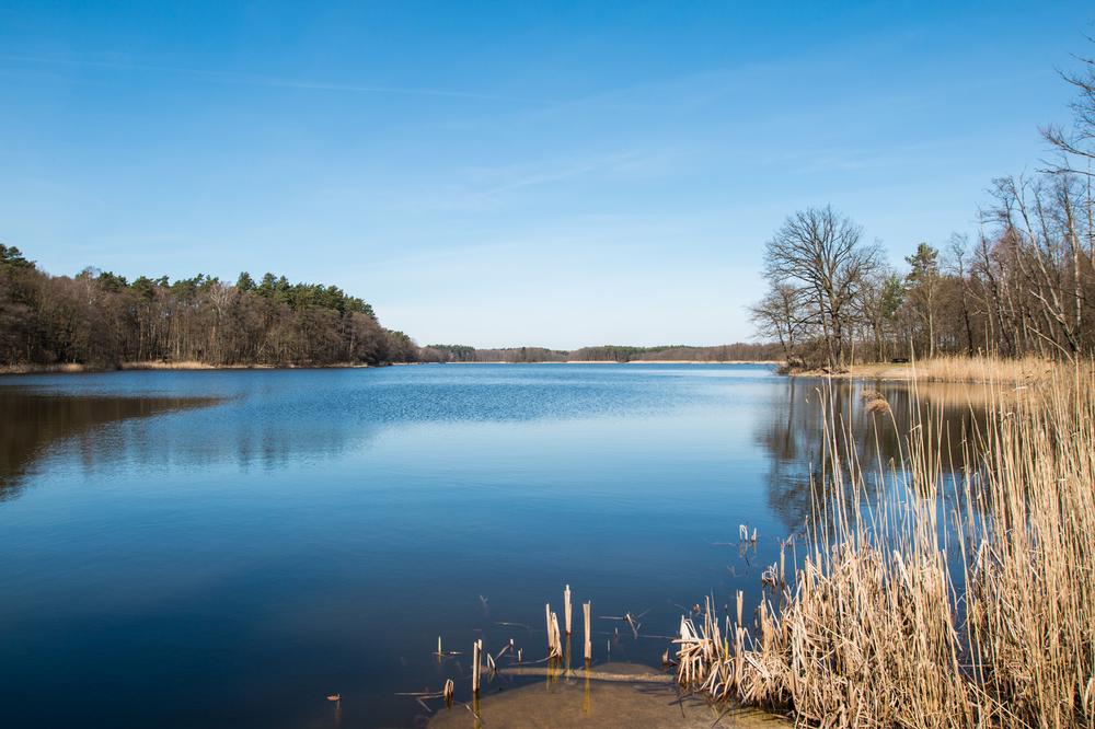 Best Free thing to do: Hike, fish and play in McDowell Dam Nature Park