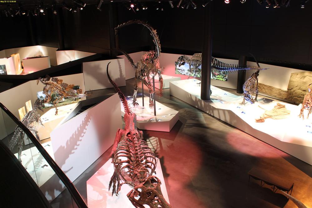 For Curious Kids: Houston Museum of Natural Science