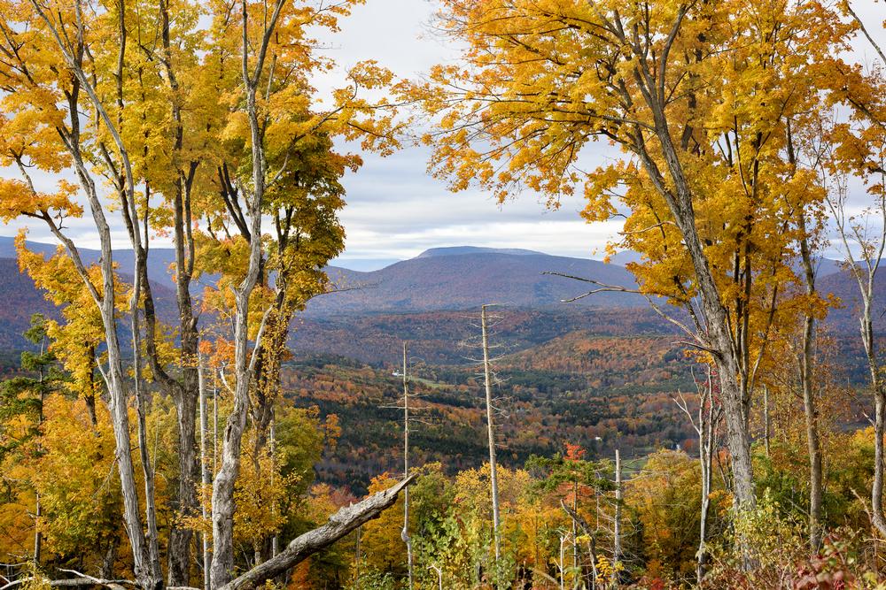 Ski, Snowboard, or Hike Year-Round at Windham Mountain
