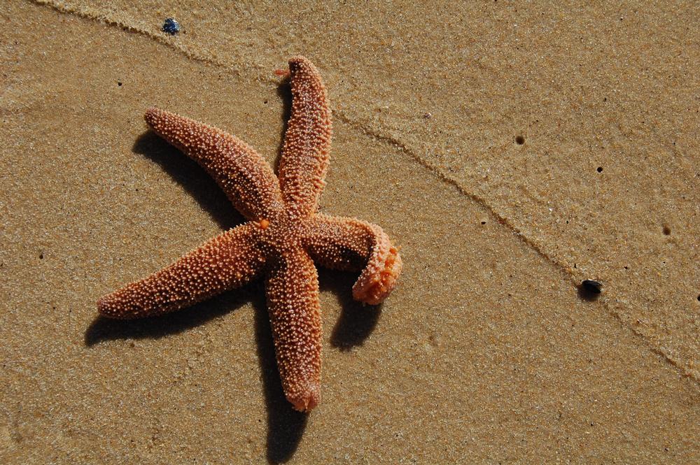 Relax on Secluded Shores at Lucy Vincent Beach