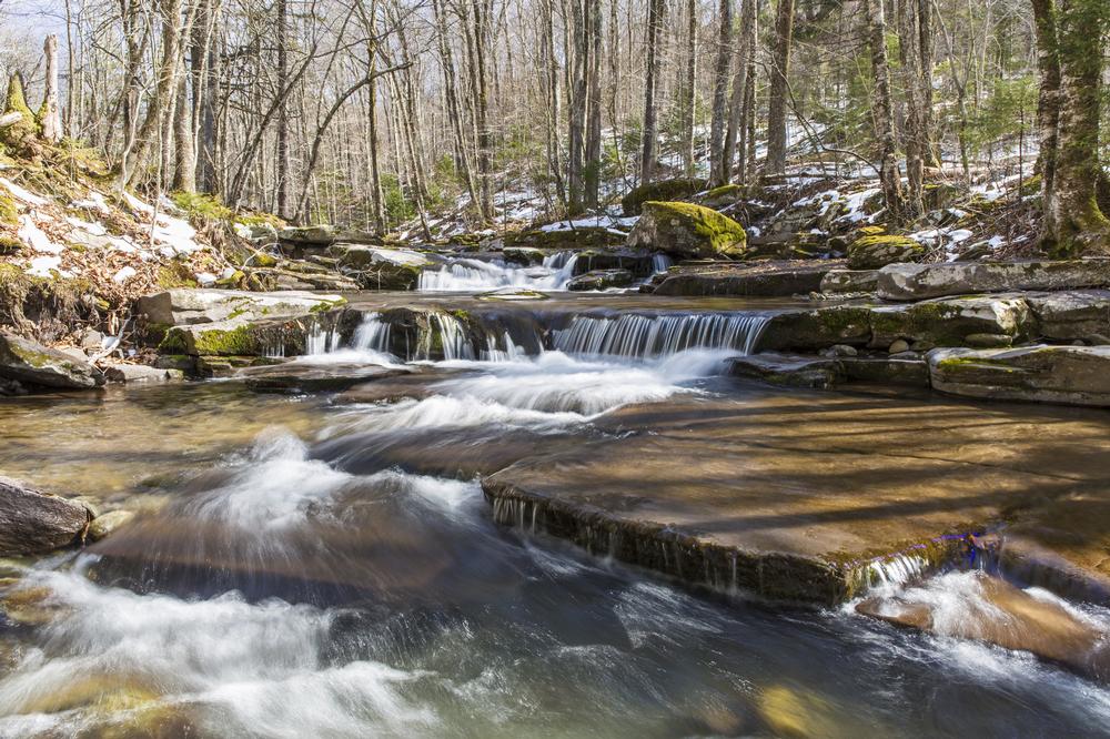 Wander Scenic Trails Along the Hudson at Falling Waters Preserve