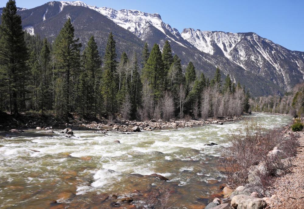 Float, Fish, or Simply Relax Along the Animas River