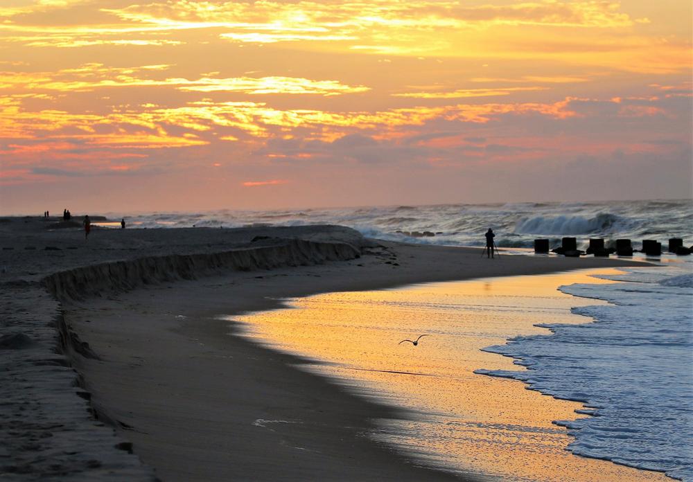 Shop, Sip, and Soak Up Local Charm in the Village of Ocean Beach