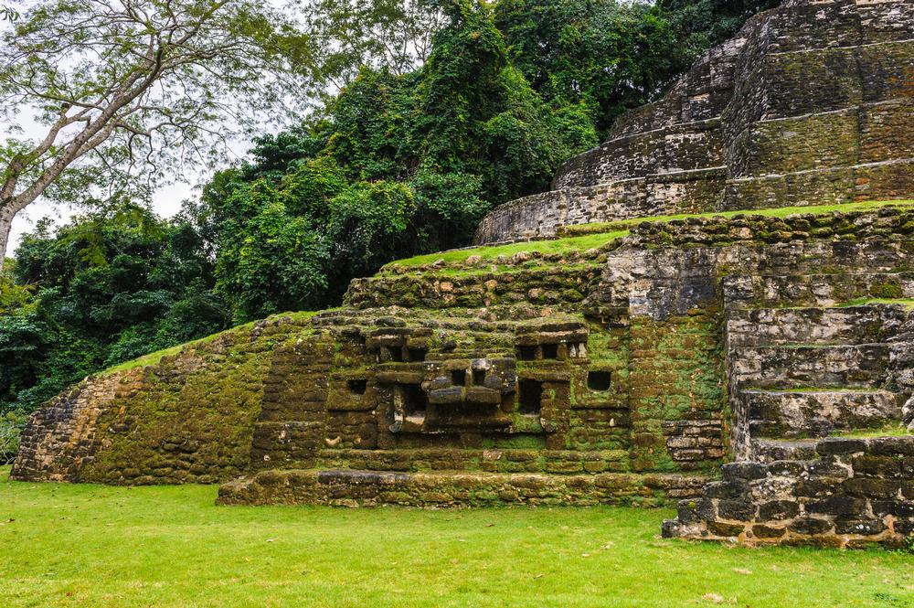 Uncover Majestic Architecture at the Caracol Mayan Ruins