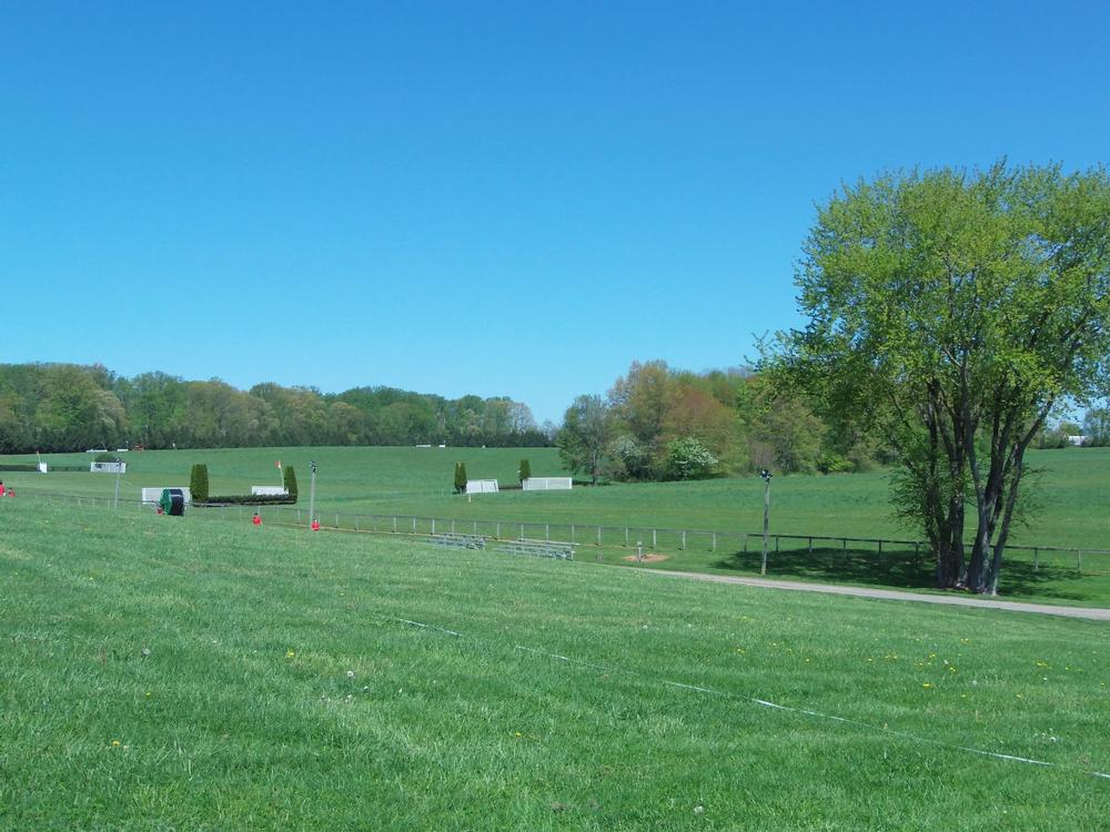 If You Love Exciting Traditions, Experience the Thrill of the Willowdale Steeplechase