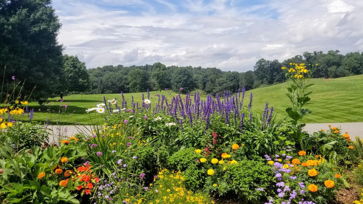 Tour America's Largest Home at Biltmore