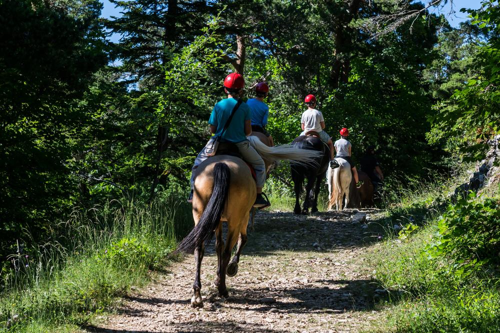 Experience Ziplining, Sleigh Rides & More at Mountain Springs Lodge